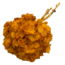 Orange Hydrangea | Preserved Hydrangea | Weight ± 50 grams | Per 3 stems