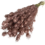 Copper-coloured Nigella dried flowers | Length ± 55 centimetres | Weight ± 100 grams
