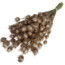 Antique gold-coloured Nigella dried flowers | Length ± 55 centimetres | Weight ± 100 grams