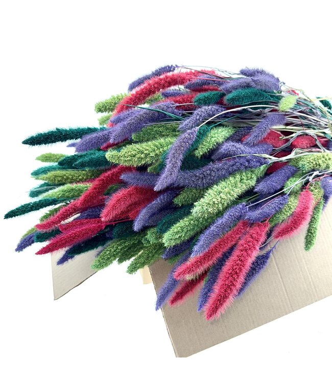 Ensemble Mix de fleurs séchées | Longueur ± 70 centimètres | Poids ± 150 grammes