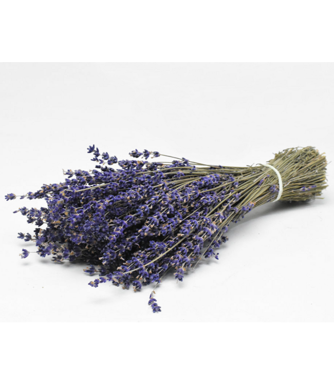 Natürlich violettblaue Lavendel Trockenblumen | Länge ± 50 cm | Gewicht ± 100 Gramm