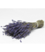 Natürlich violettblaue Lavendel Trockenblumen | Länge ± 50 cm | Gewicht ± 100 Gramm