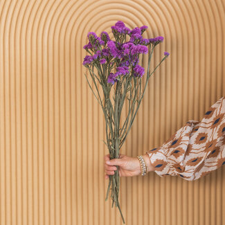 Dutch Dried Donkerroze Statice Sinuata droogbloemen | Lengte ± 70 centimeter | Gewicht ± 75 gram