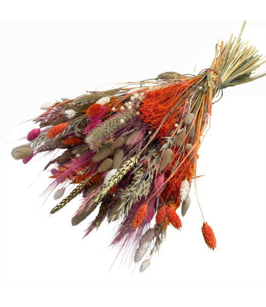 MyFlowers Boeket droogbloemen Eagerness by Emma | Lengte ± 65 centimeter | Met roze en oranje droogbloemen