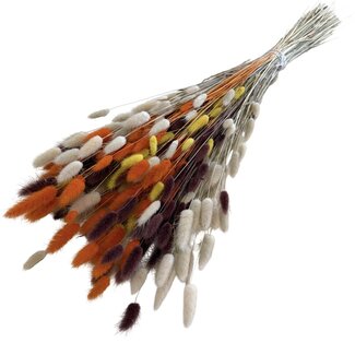 MyFlowers Bouquet of dried flowers Lagurus Terra Mix | Length ± 65 centimetres | Weight ± 100 grams