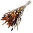 Boeket droogbloemen Lagurus "Terra Mix" | Lengte ± 65 centimeter | Gewicht ± 100 gram
