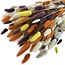 Boeket droogbloemen Lagurus "Terra Mix" | Lengte ± 65 centimeter | Gewicht ± 100 gram