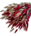 Lagurus Lady mix fleurs séchées | Longueur ± 65 centimètres | Poids ± 100 grammes