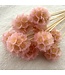 Light pink bleached Scabiosa dried flowers | Length ± 30 centimetres | Per 10 scabiosas