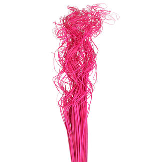 4A Dried Palm Leaf Vein | Curly Ting Ting | Colour: Fuchsia | Dried Decoration | Length ± 70 centimetres | Weight 200 grams | Per bunch
