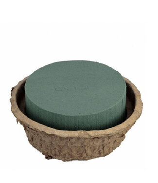 4A Oasis Biolit Schale | Farbe: Grün | Durchmesser 26 Zentimeter | Höhe 11 Zentimeter | Pro 2 Schalen