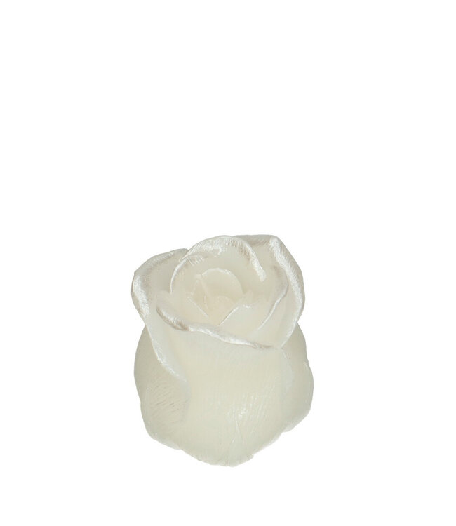 Bougie Rose | Couleur : Blanc Naturel | Diamètre 6 centimètres | Hauteur 7 centimètres | Par 9 bougies