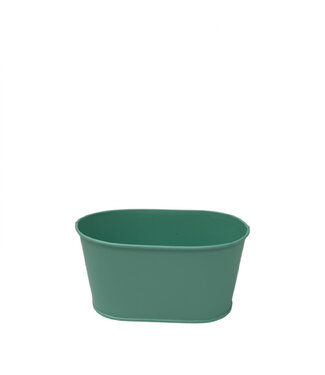 4A Zink Pflanzkübel Blumentopf „Milo“ | Farbe: Grün | Durchmesser 15,5 Zentimeter | Höhe 8 Zentimeter | Pro 10 Kübel