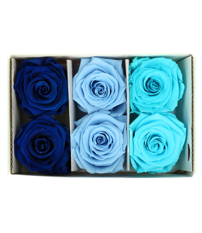 Rose préservée | Couleur : Bleu | Décoration sèche | Diamètre 6 centimètres | Par 6 roses