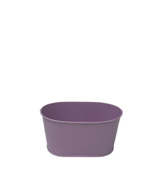 4A Zinktopf Blumentopf Pflanzentopf „Milo“ | Farbe: Lila | Durchmesser 15,5 Zentimeter | Höhe 8 Zentimeter | Pro 10 Töpfe
