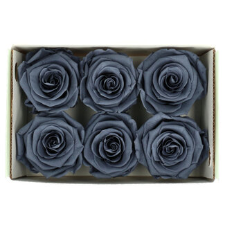 4A Rose préservée | Couleur : Gris | Décoration sèche | Diamètre 6 centimètres | Par 6 roses