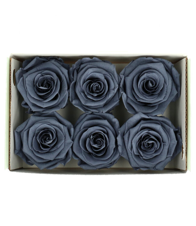 Rose préservée | Couleur : Gris | Décoration sèche | Diamètre 6 centimètres | Par 6 roses