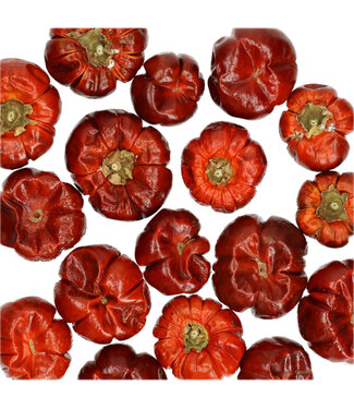 4A Mini Courge Séchée | Couleur : Rouge | Poids 100 grammes par sachet | Par 5 sachets