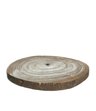 4A Dried Wood Slice Apollonia Dried Decoration | Colour: Brown | Diameter 40 centimetres | Per wood slice
