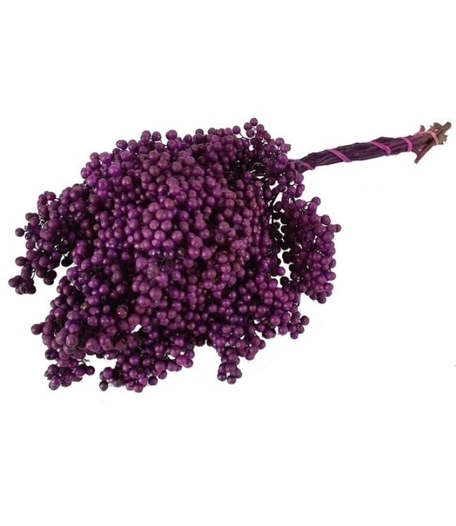 Lila Schinus - Pfefferbeeren Trockenblumendekoration | Länge ± 35 Zentimeter | Gewicht ± 150 Gramm