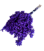 Purple Schinus - Pepperberry Dried Decoration | Length ± 35 centimetres | Weight ± 150 grams