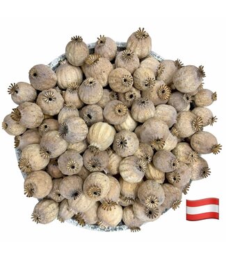 POPPY POWER Österreichische Mohnkapseln | Kernlos | BEGRENZTER VORRAT | Pro 1000 Gramm