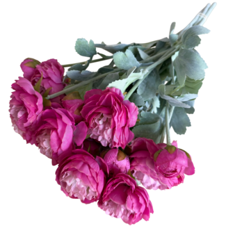 Dutch Dried Bouquet of Artificial Ranunculus Flowers | Colour: Dark Pink | Length: 50 centimetres | Per 5 flowers