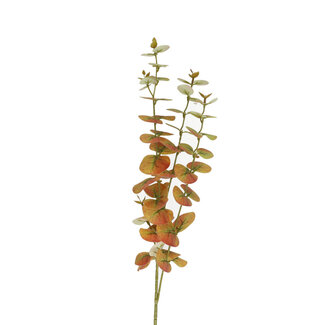 4A Eucalyptus Fausse Fleur | Couleur : Marron | Longueur ± 80 centimètres | Par 10 tiges