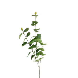 4A Eucalyptus Branche Artificielle | Couleur : Vert clair | Longueur ± 80 centimètres | Par 10 branches