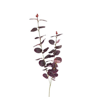 4A Eucalyptus Artificial Flower | Colour: Purple | Length ± 80 centimetres | Per 10 stems
