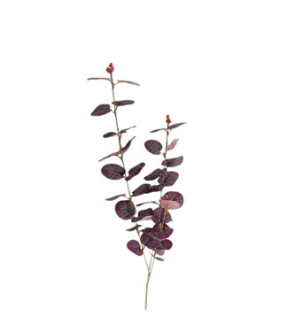 4A Eucalyptus Tak Kunstbloem | Kleur: Paars | Lengte ± 80 centimeter | Per 10 takken