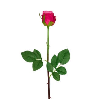 4A Rose Artificial Flower | Colour: Fuchsia | Artificial Roses | Length ± 46 centimetres | Per 24 artificial roses