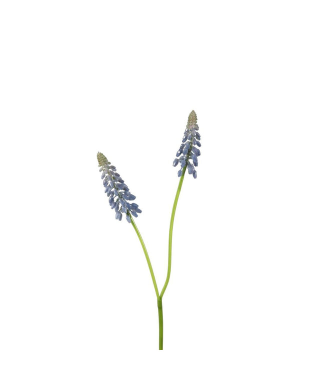 Blue Grape Hyacinth Artificial Flower | Colour: Blue | Muscari artificial flowers | Length ± 45 centimetres | Per 12 artificial flowers