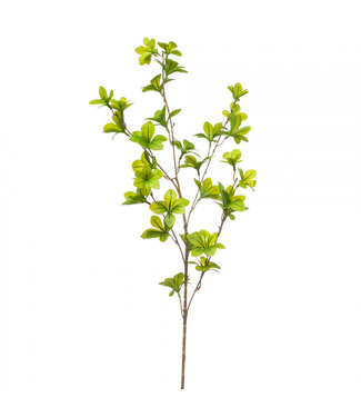 4A Oost-Indische Kers Tak Kunstgroen | Kleur: Groen | Tropaeolum kunstbloemen | Lengte ± 90 centimeter | Per 6 takken