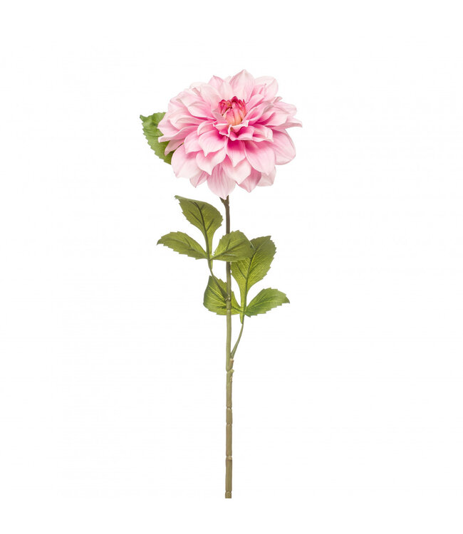 Dahlia Artificial Flower | Colour: Light Pink | Length ± 72 centimetres | Per 4 artificial flowers