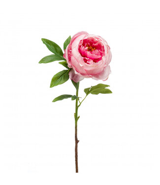 4A Peony Artificial Flower | Colour: Pink | Length ± 63 centimetres | Per 4 artificial flowers
