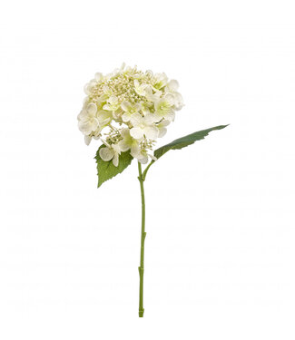 4A Hydrangea Artificial Flower | Colour: Natural White | Length ± 50 centimetres | Per 4 artificial flowers