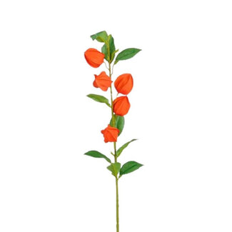 4A Chinese Lantern Artificial Flower | Colour: Orange | Physalis artificial flowers | Length ± 69 centimetres | Per 12 artificial flowers