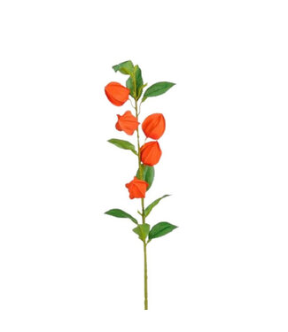 4A Plante de lampion Fleur artificielle | Couleur : Orange | Fleurs artificielles Physalis | Longueur ± 69 centimètres | Par 12 fleurs artificielles