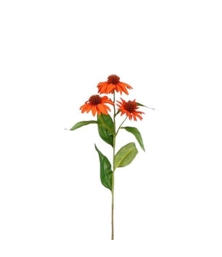 4A Coneflower Artificial Flower | Colour: Orange | Echinacea Artificial Flowers | Length ± 62 centimetres | Per 12 Artificial Flowers