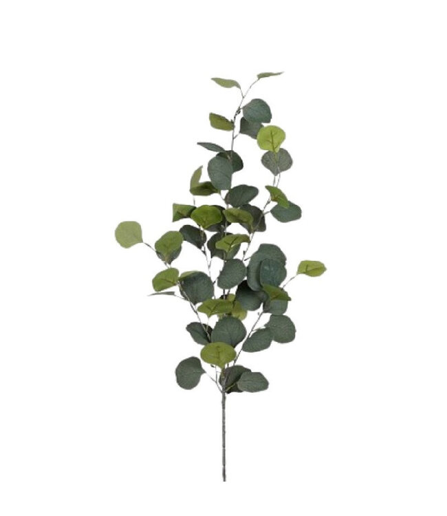 Eucalyptus Artificial Plant | Colour: Green | Length ± 90 centimetres | Per 6 branches