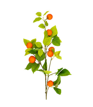4A Orangen Kunstpflanze | Farbe: Orange | Länge ± 89 Zentimeter | Pro Kunstpflanze