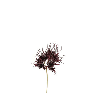 4A Pracht Nelke Kunstblume | Farbe: Braun | Dianthus Kunstblumen | Länge ± 55 Zentimeter | Pro 10 Kunstblumen