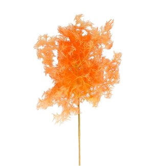 4A Cotinus Artificial Flower | Colour: Salmon | Smoke Tree Artificial Flower | Length ± 70 centimetres | Per 4 artificial flowers