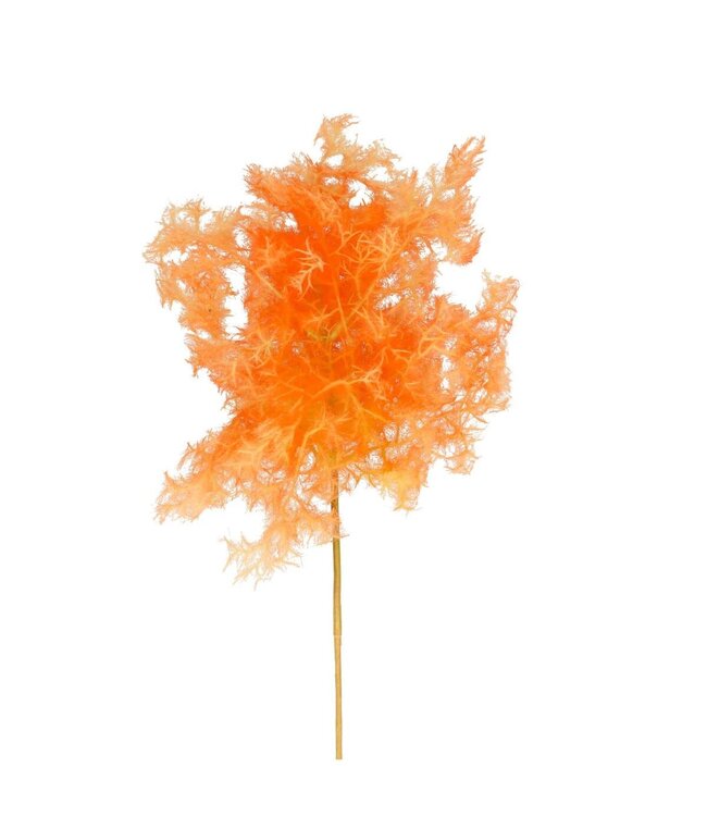 Cotinus Fleur Artificielle | Couleur : Saumon | Fleur artificielle de l'arbre à perruques | Longueur ± 70 centimètres | Par 4 fleurs artificielles