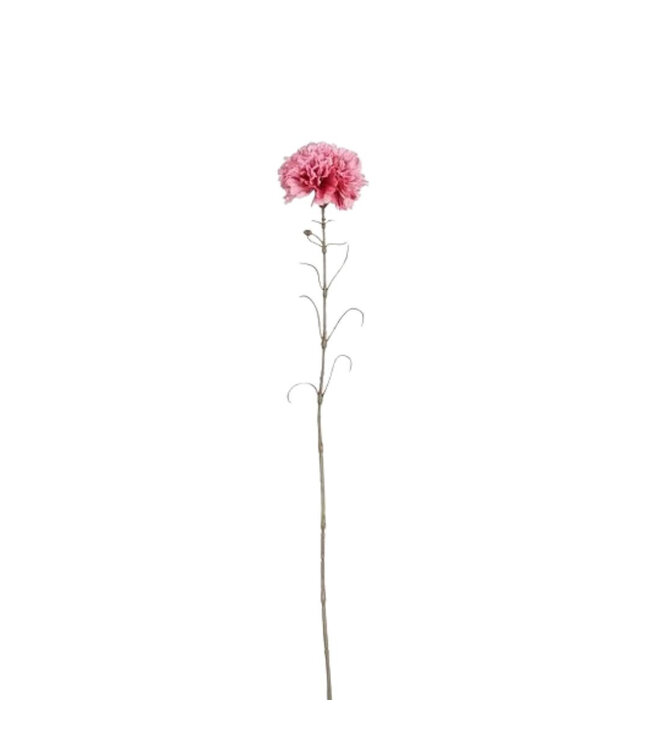 Œillet Artificiel | Couleur : Rose foncé | Fleurs artificielles Dianthus | Longueur ± 66 centimètres | Par 12 fleurs artificielles