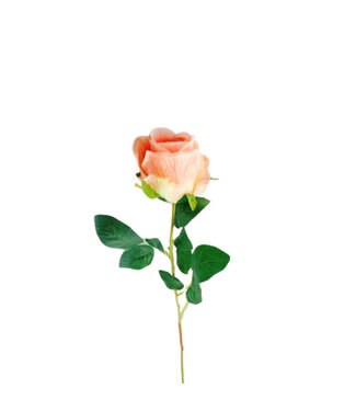 4A Rose Artificial Flower | Colour: Salmon | Artificial Roses | Length ± 58 centimetres | Per 10 artificial roses