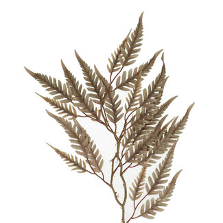 4A Branch of Willow | Colour: Grey | Length ± 70 centimetres | Per 10 branches