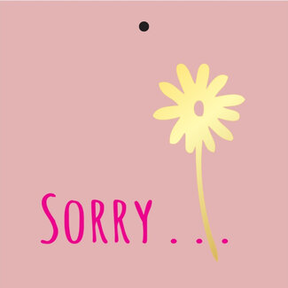 4A Label Kaartje met Engelse tekst “Sorry” | Kleur: Roze | Breedte 7 centimeter | Hoogte 7 centimeter | Per 20 labels