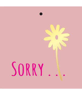 4A Label Card with English text "Sorry" | Colour: Pink | Width 7 centimetres | Height 7 centimetres | Per 20 labels